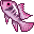 Pink Cichlid