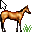 horses 2 horses 2