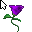 Purple Flower Dancing