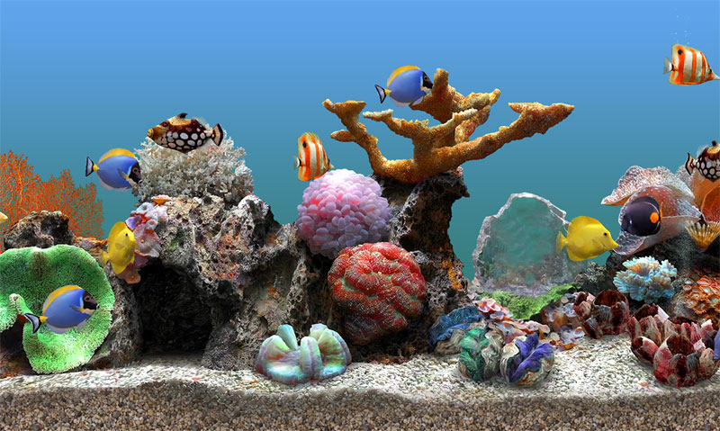 Marine Aquarium Free For as long as we can remember, one of the most popular screensavers in our collections has been our 3D Aquarium.