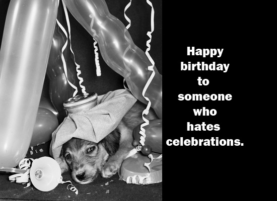 birthday greetings message for friend. Birthday Sad Puppy eCard