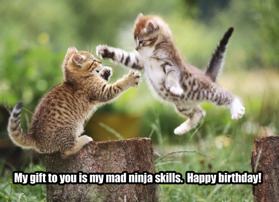 Send a friend or family member a funny, feline birthday card!