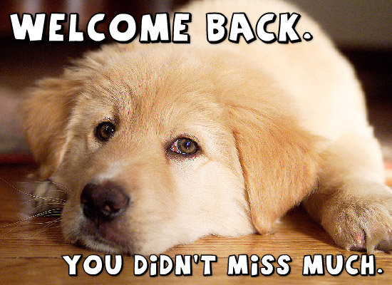 [Image: WelcomeBackPooch.jpg]