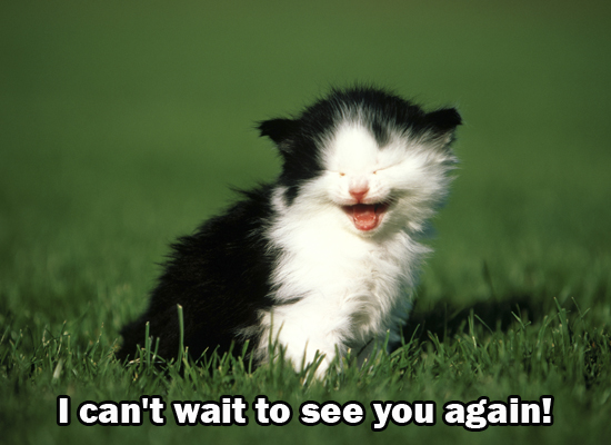 Express your excitement for you and your friend's reunion with this cute cat 